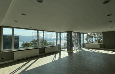 Baltalimanı Mansion Flat