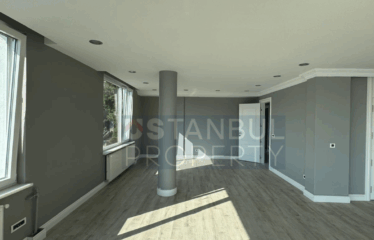 Baltalimanı Mansion Flat