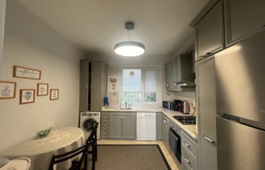 Stunning Flat Panoramic Bosphorus View