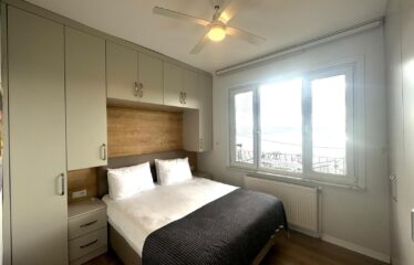 Stunning Flat Panoramic Bosphorus View