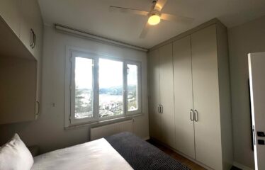 Stunning Flat Panoramic Bosphorus View