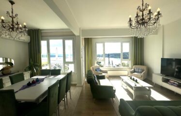 Stunning Flat Panoramic Bosphorus View