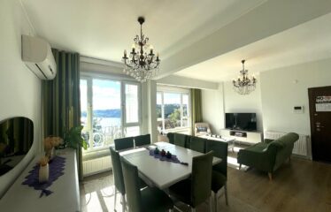 Stunning Flat Panoramic Bosphorus View