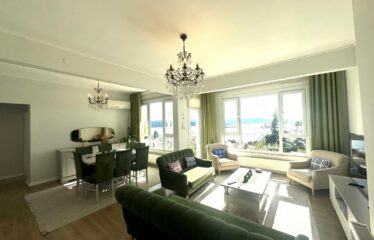 Stunning Flat Panoramic Bosphorus View