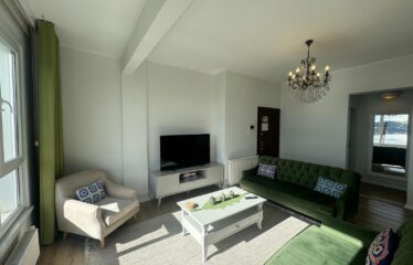 Stunning Flat Panoramic Bosphorus View