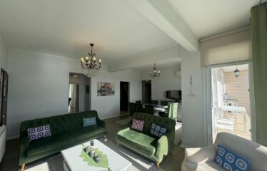 Stunning Flat Panoramic Bosphorus View