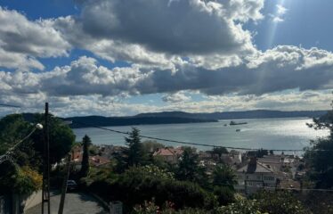 Stunning Flat Panoramic Bosphorus View