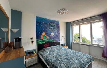 BEYOĞLU FLAT SEA VIEW