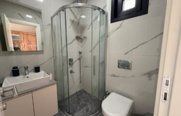 DİKİLİTAŞ BEŞİKTAŞ FOR RENT