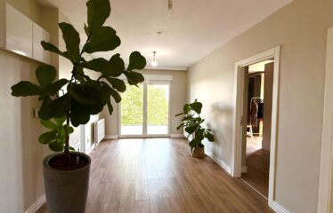 ZEKERIYAKOY VILLA FOR RENT / ORTANCA KONAKLARI