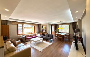 NİSANTASİ FULLY-FURNISHED FLAT FOR RENT