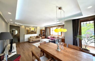 NİSANTASİ FULLY-FURNISHED FLAT FOR RENT