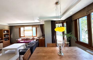 NİSANTASİ FULLY-FURNISHED FLAT FOR RENT