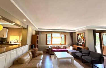 NİSANTASİ FULLY-FURNISHED FLAT FOR RENT